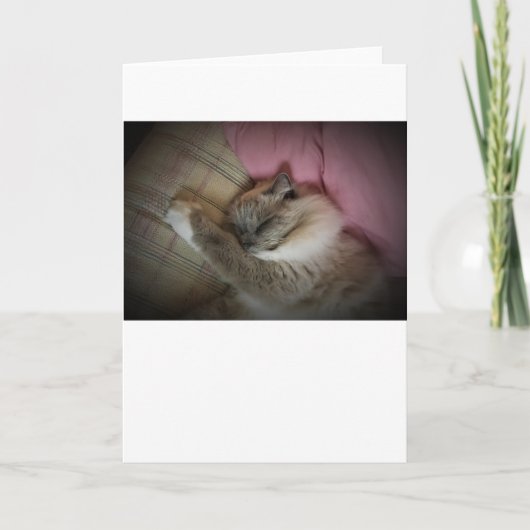 低速日、カード カード (正面)