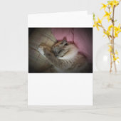 低速日、カード カード (黄色い花)