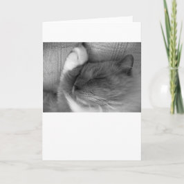 低速日、カード カード