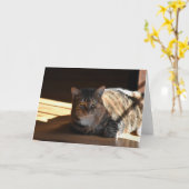 低速日、カード カード (黄色い花)