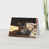 低速日、カード カード (正面)