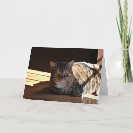 低速日、カード カード (正面)