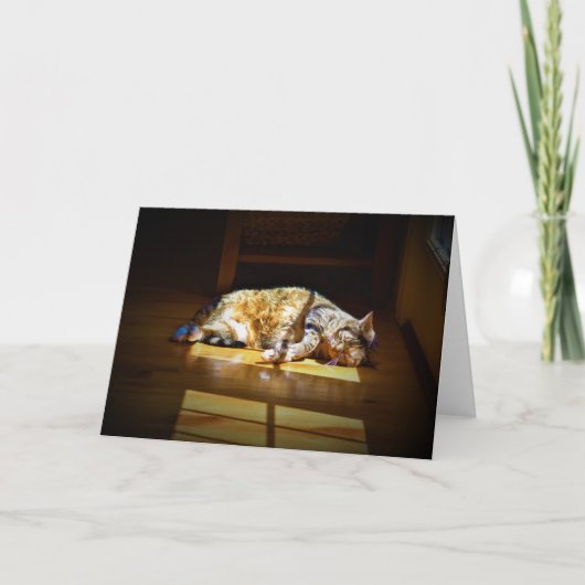 低速日、カード カード (正面)