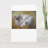 低速日、カード カード (正面)