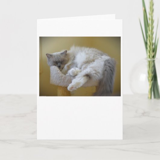 低速日、カード カード (正面)