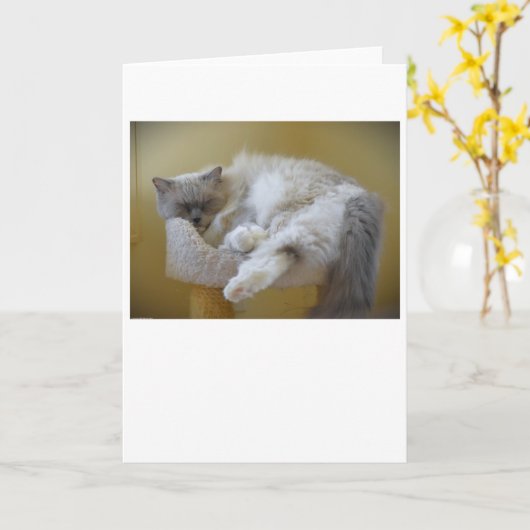 低速日、カード カード (黄色い花)