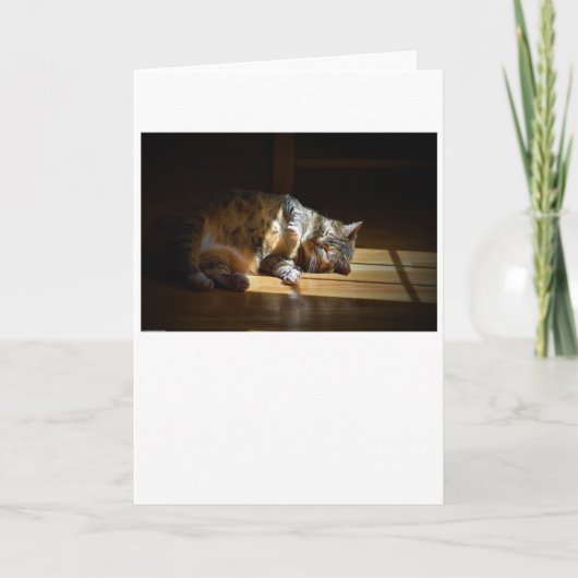 低速日、カード カード (正面)