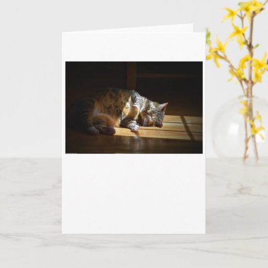 低速日、カード カード (黄色い花)