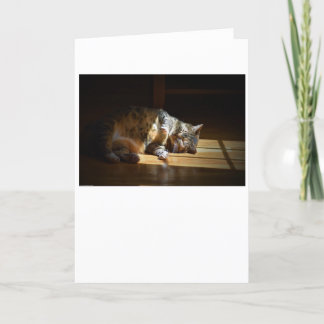 低速日、カード カード