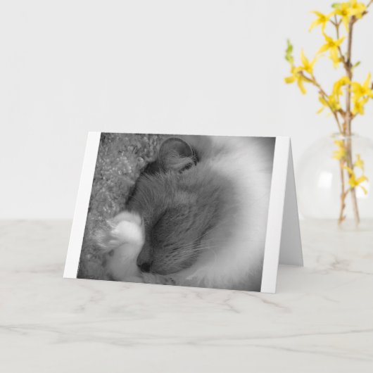 低速日、カード カード (黄色い花)