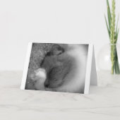 低速日、カード カード (正面)