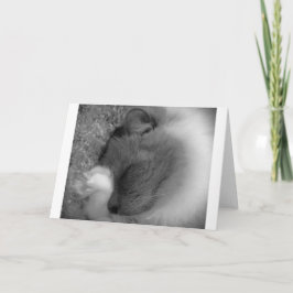 低速日、カード カード