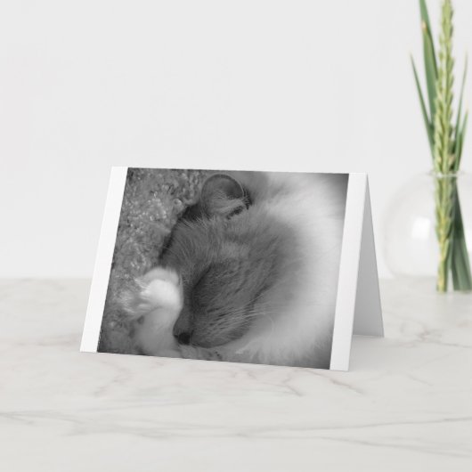 低速日、カード カード (正面)