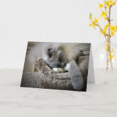 低速日、カード カード (黄色い花)