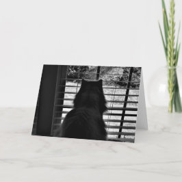 低速日、カード カード