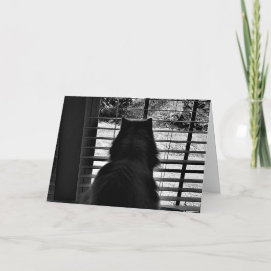 低速日、カード カード (正面)