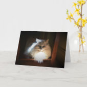 低速日、カード カード (黄色い花)