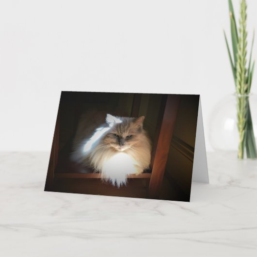 低速日、カード カード (正面)