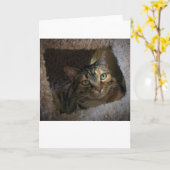 低速日、カード カード (黄色い花)