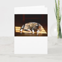 低速日、カード カード