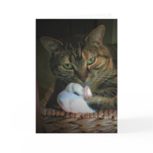 低速日、カード