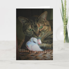 低速日、カード カード