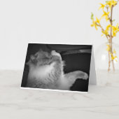 低速日、カード カード (黄色い花)