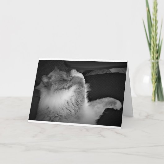 低速日、カード カード (正面)