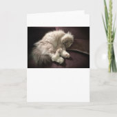 低速日、カード カード (正面)