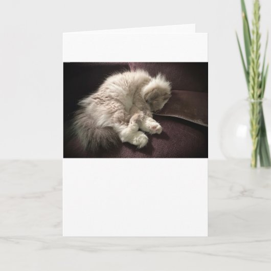 低速日、カード カード (正面)