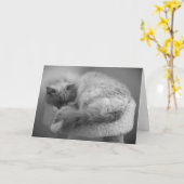 低速日、カード カード (黄色い花)