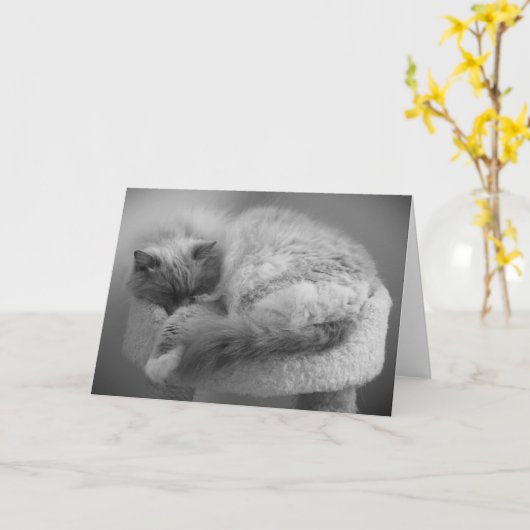 低速日、カード カード (黄色い花)