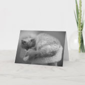 低速日、カード カード (正面)