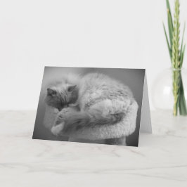 低速日、カード カード