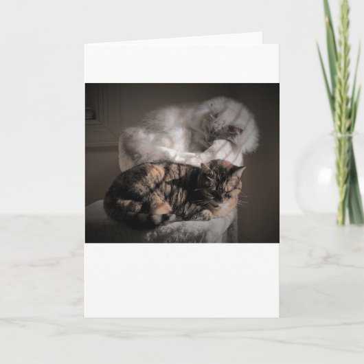 低速日、カード カード (正面)