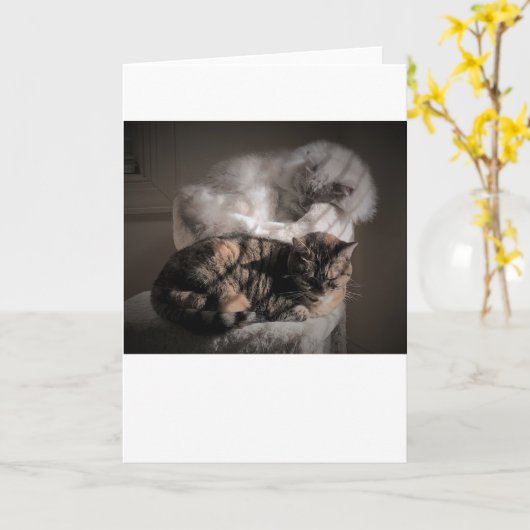 低速日、カード カード (黄色い花)