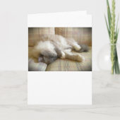 低速日、カード カード (正面)