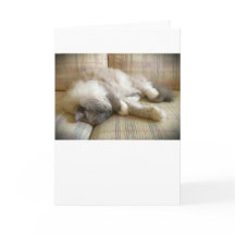 低速日、カード