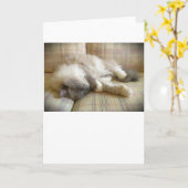 低速日、カード カード (黄色い花)