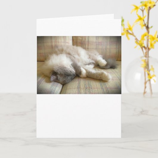 低速日、カード カード (黄色い花)