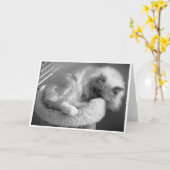 低速日、カード カード (黄色い花)