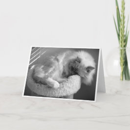 低速日、カード カード