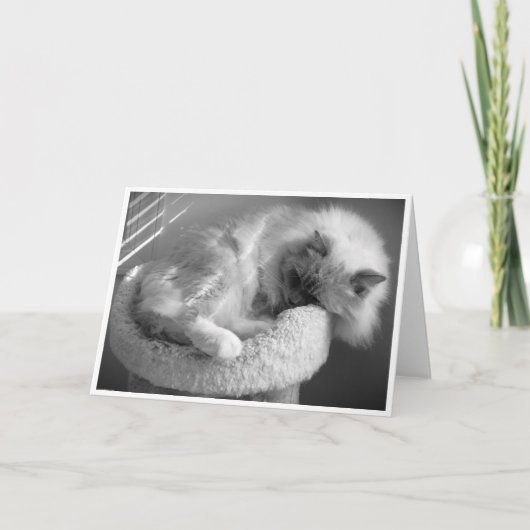 低速日、カード カード (正面)