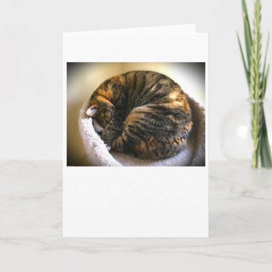 低速日、カード カード (正面)