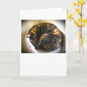 低速日、カード カード (黄色い花)