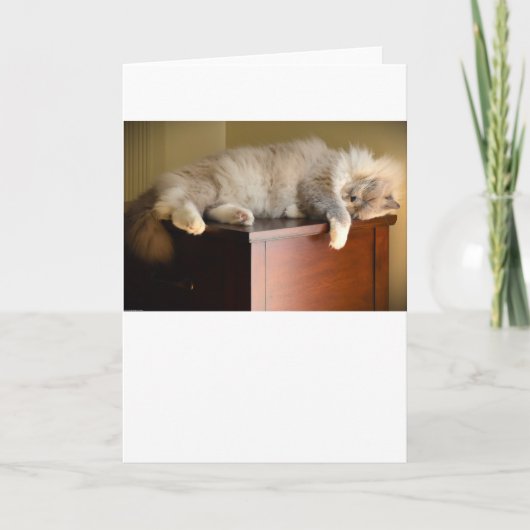 低速日、カード カード (正面)