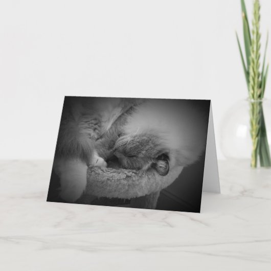 低速日、カード カード (正面)