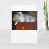 低速日、カード カード (正面)