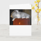 低速日、カード カード (黄色い花)