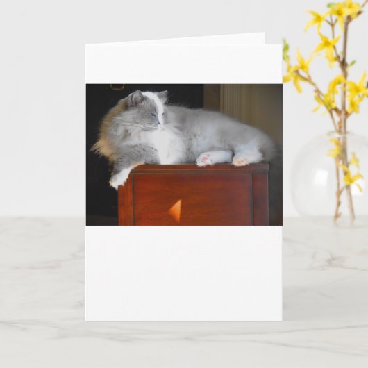 低速日、カード カード (黄色い花)